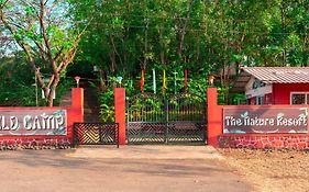 Wild Camp- The Nature Resort